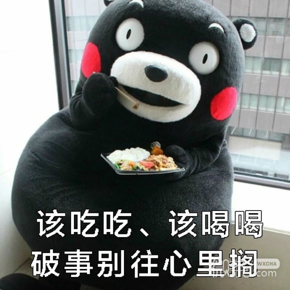 上火微信恶搞傻屌斗图表情包