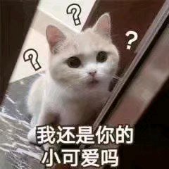 走了微信恶搞傻屌群聊杂图表情包