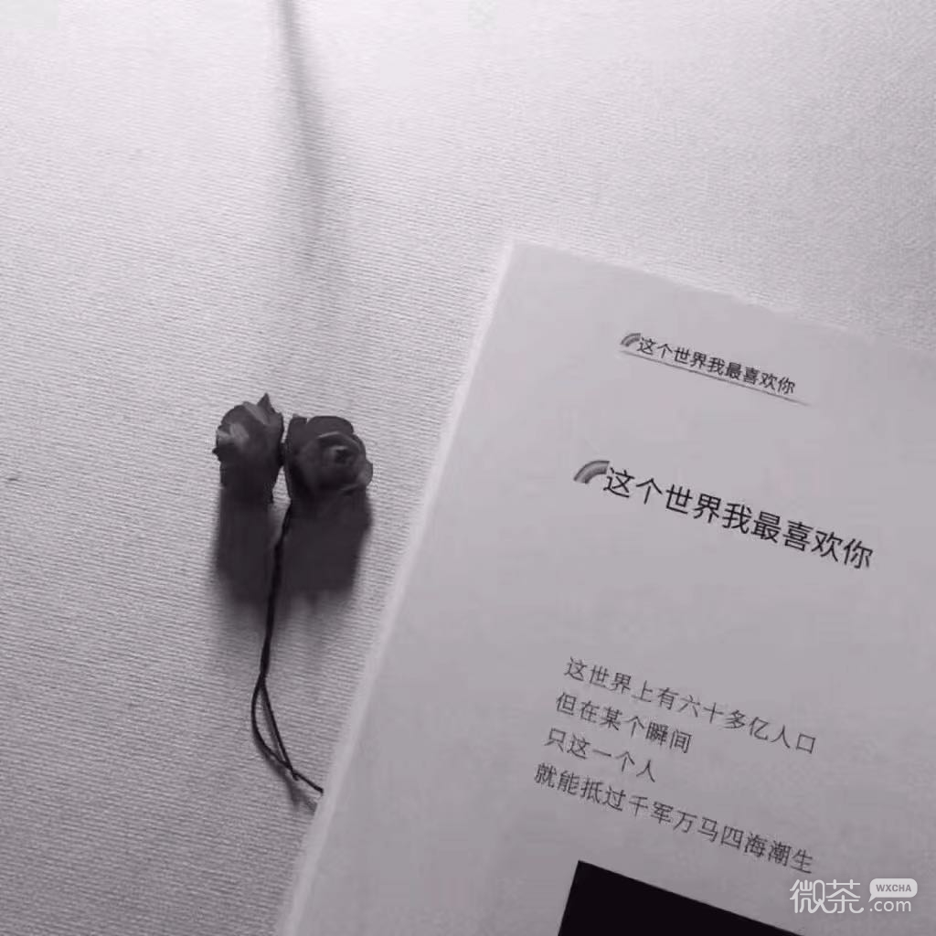 简洁清新风景静物朋友圈配图