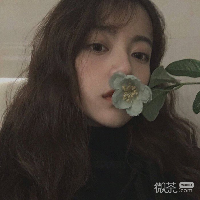 清纯性感女头