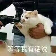 走了微信恶搞傻屌群聊杂图表情包