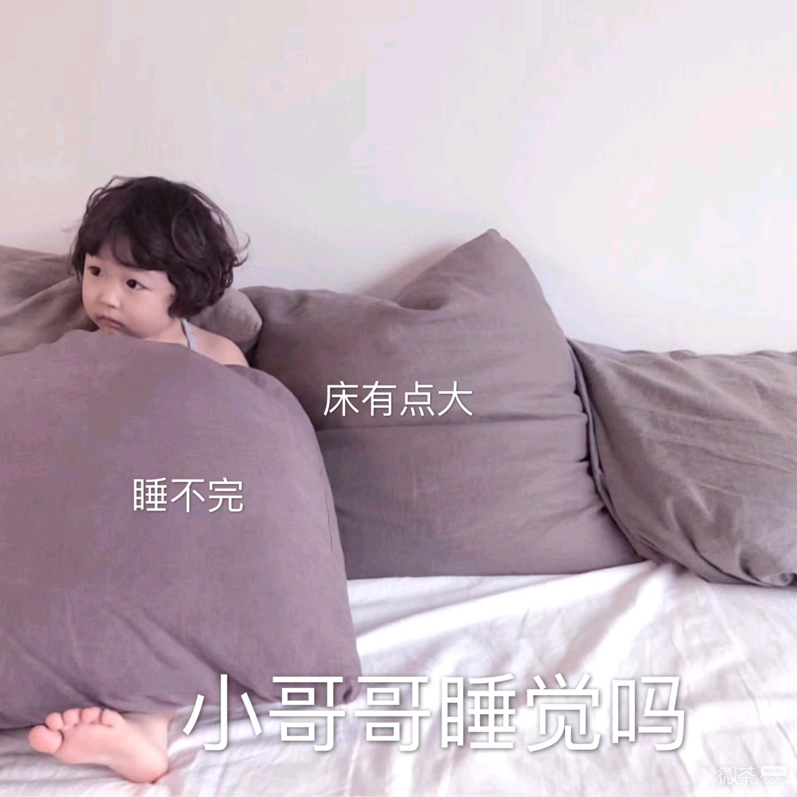 走了微信恶搞傻屌群聊杂图表情包