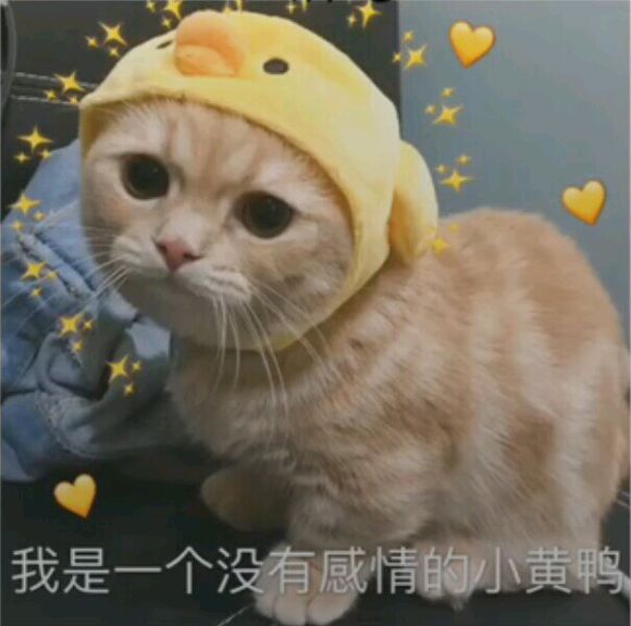 打扰了微信恶搞傻屌群聊杂图表情包