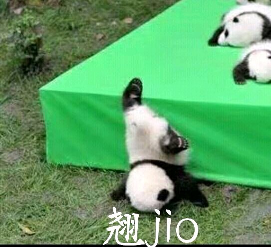 走了微信恶搞傻屌群聊杂图表情包