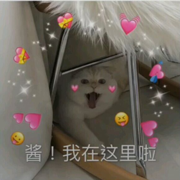 打扰了微信恶搞傻屌群聊杂图表情包