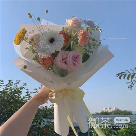 教师节鲜花系列微信图片合集下载