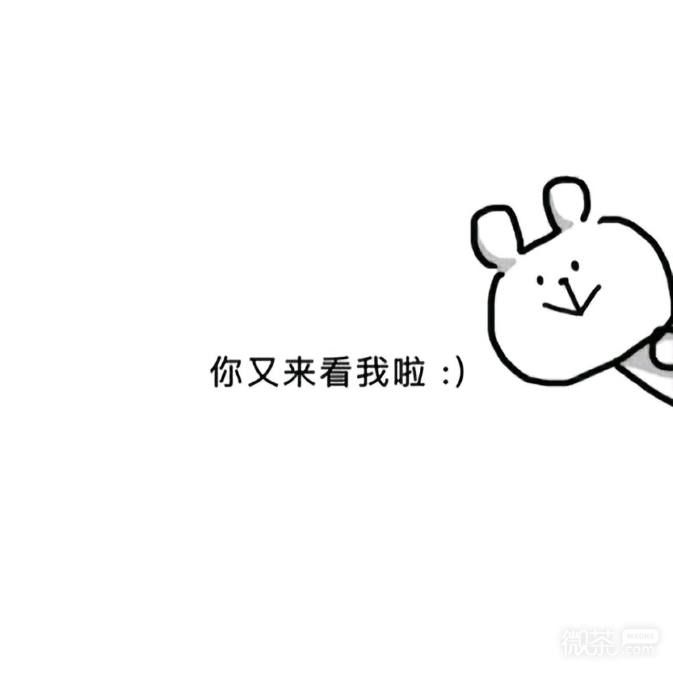 清新风景静物朋友圈配图