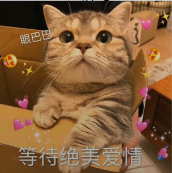 微信击掌恶搞群聊杂图表情包