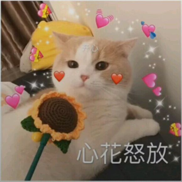 打扰了微信恶搞傻屌群聊杂图表情包