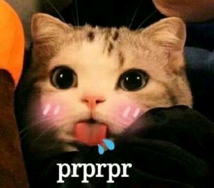 打扰了微信恶搞傻屌群聊杂图表情包