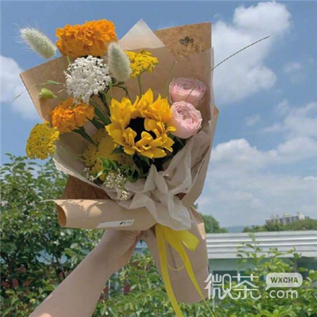 教师节鲜花系列微信图片合集下载