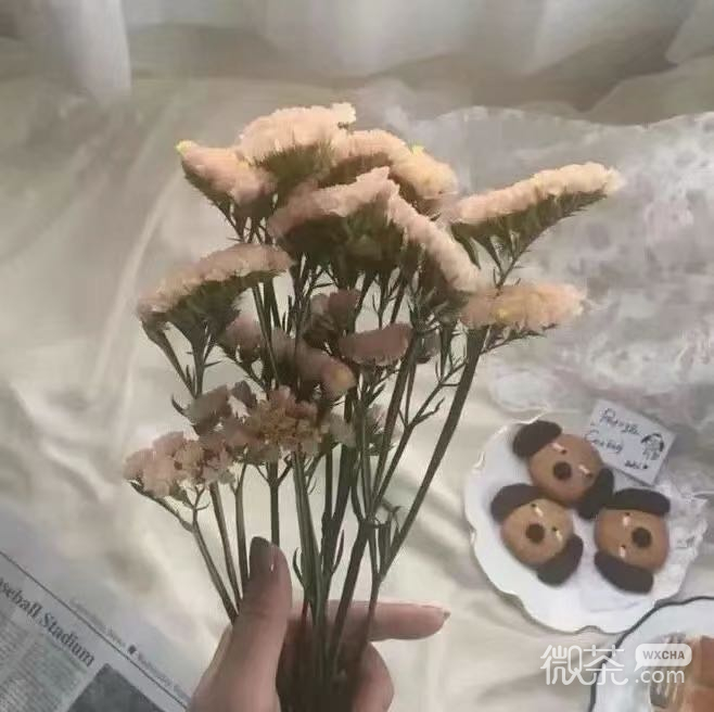 微信清新唯美少女心朋友圈配图