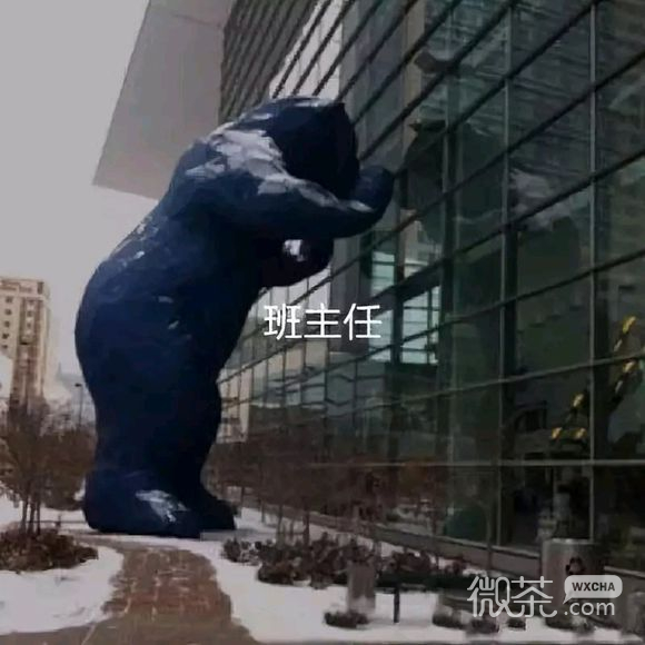 上火微信恶搞傻屌斗图表情包