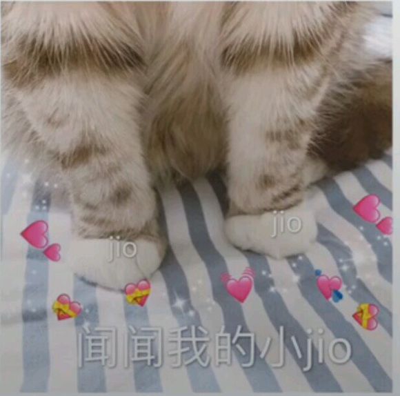 打扰了微信恶搞傻屌群聊杂图表情包