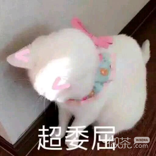 永别微信恶搞傻屌斗图表情包
