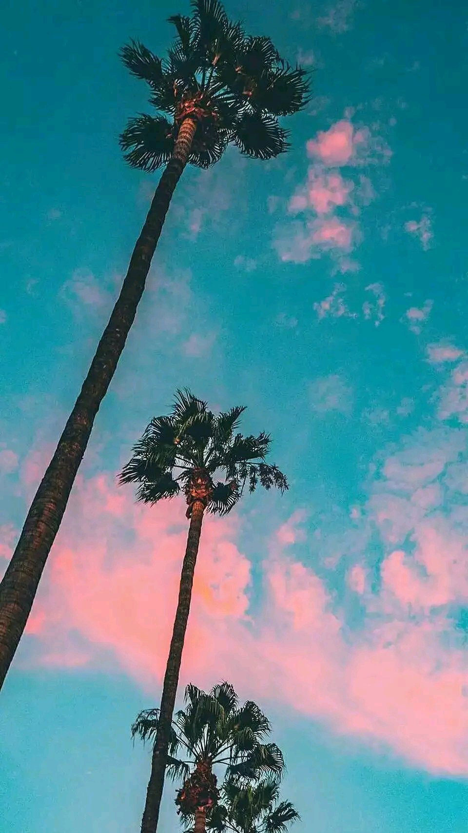 微信清新唯美聊天背景