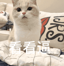 哇哦微信恶搞傻屌斗图表情包