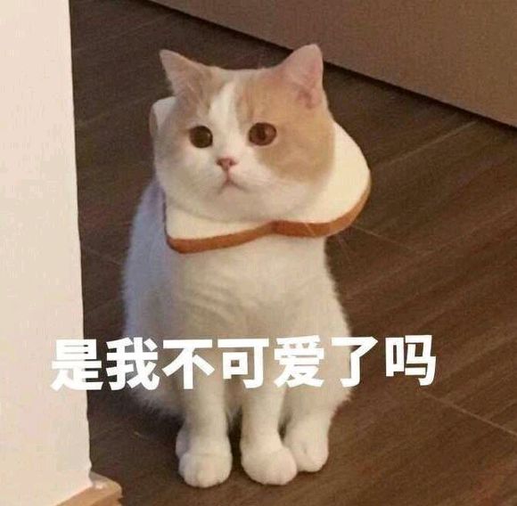 打扰了微信恶搞傻屌群聊杂图表情包