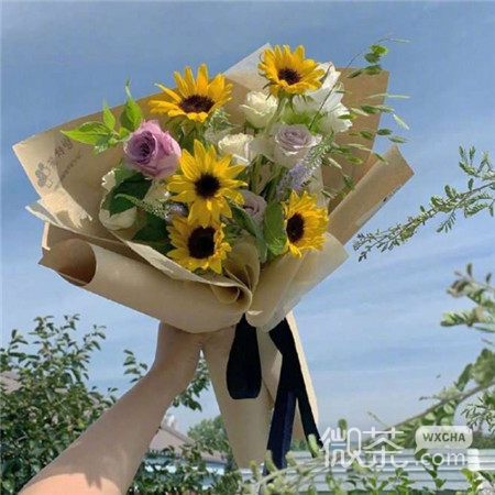 教师节鲜花系列微信图片合集下载