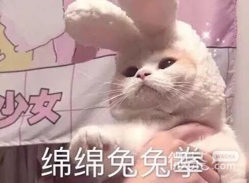 上火微信恶搞傻屌斗图表情包