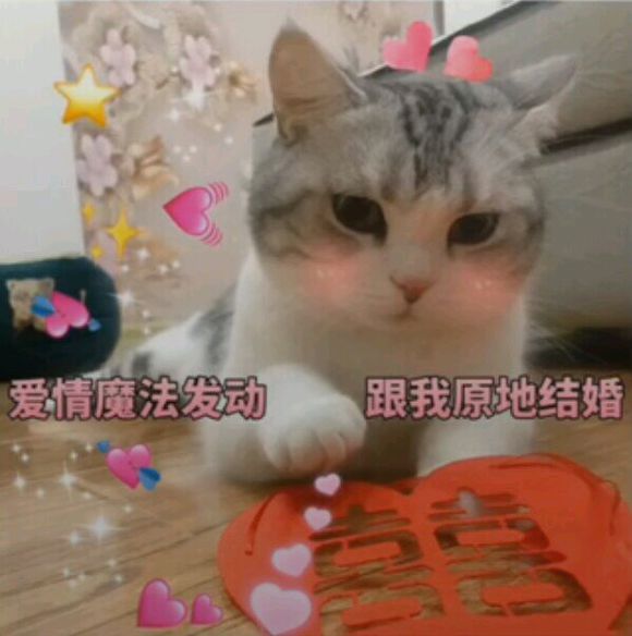 打扰了微信恶搞傻屌群聊杂图表情包