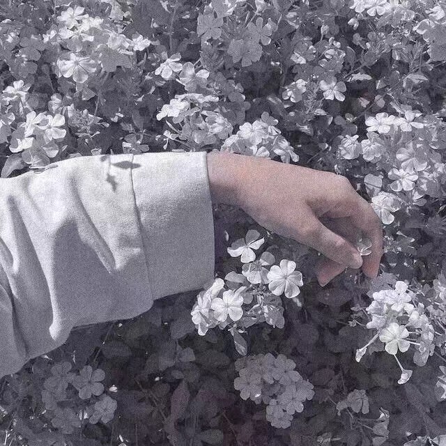 微信文艺少女心朋友圈配图