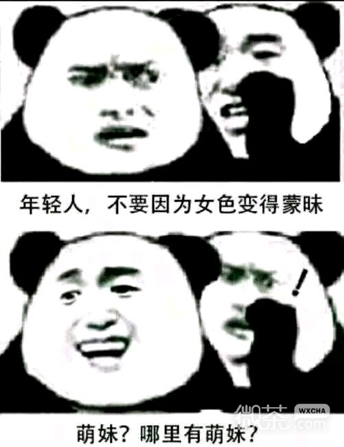 微信近期斗图恶搞表情包2019/9/6（二）