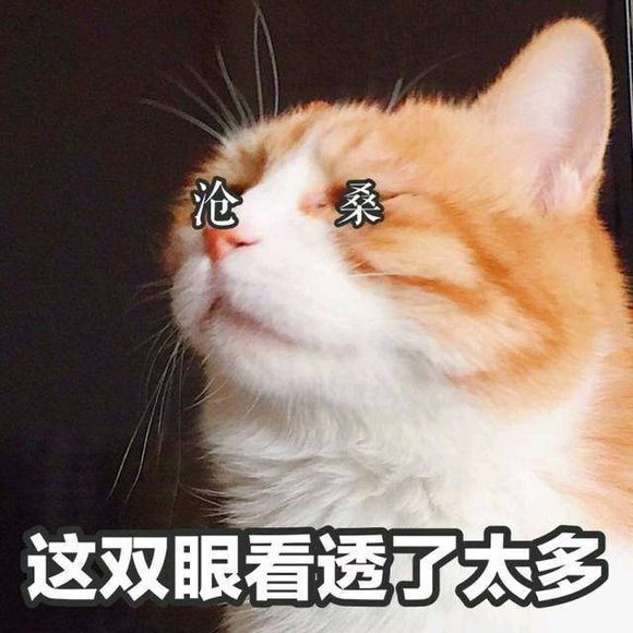 诱惑微信恶搞傻屌斗图表情包