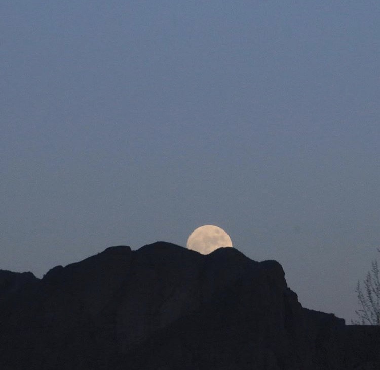 微信文艺少女心朋友圈配图