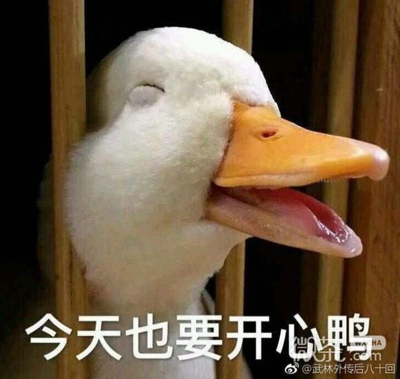 微信近期斗图恶搞表情包2019/9/8（二）