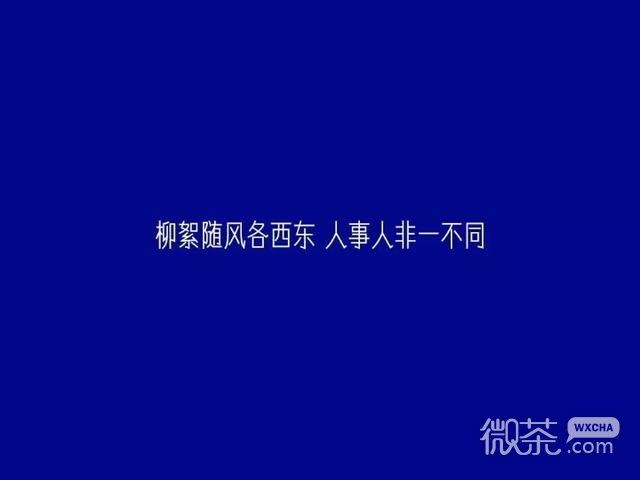 清新简洁微信朋友圈配图