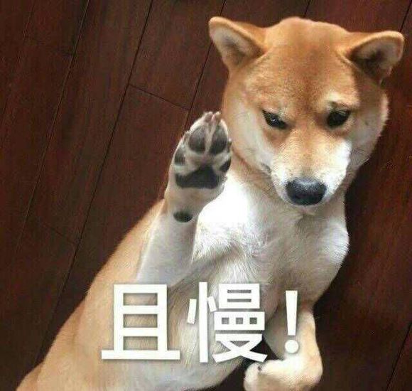 诱惑微信恶搞傻屌斗图表情包