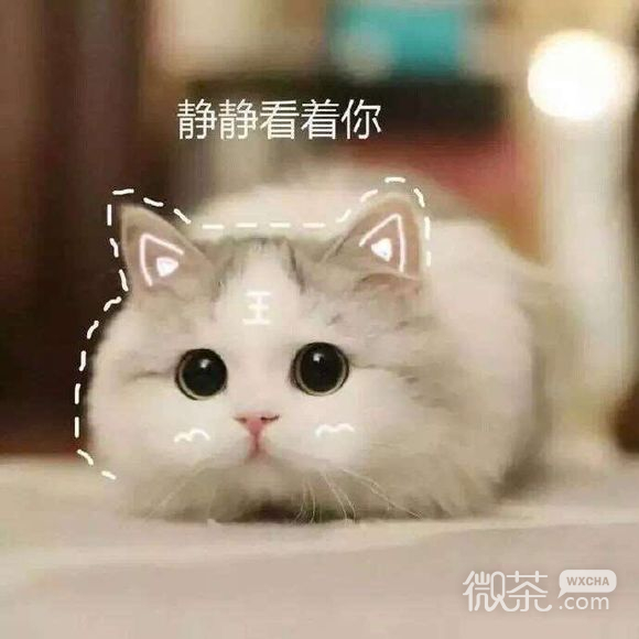 黄图微信恶搞傻屌斗图表情包