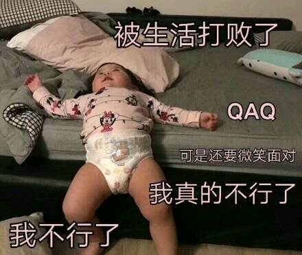 感恩微信恶搞傻屌斗图表情包