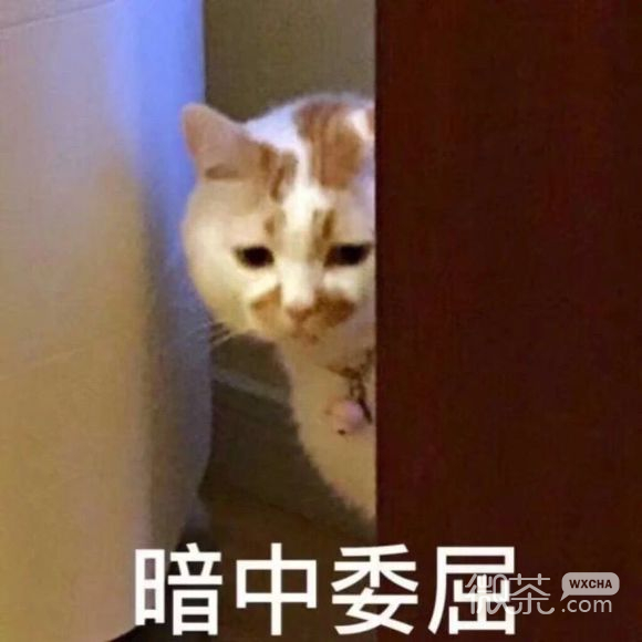 黄图微信恶搞傻屌斗图表情包
