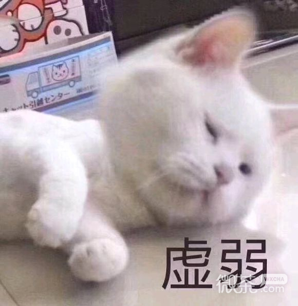 死了算了微信恶搞傻屌斗图表情包
