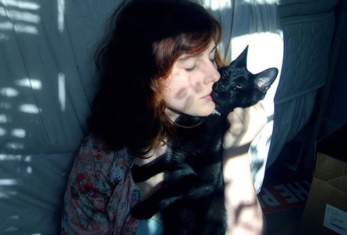 可爱宠物喵星人系列微信图片合集下载