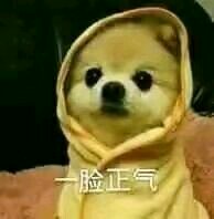 这里开心微信恶搞傻屌斗图表情包