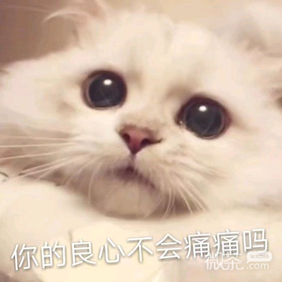 死了算了微信恶搞傻屌斗图表情包