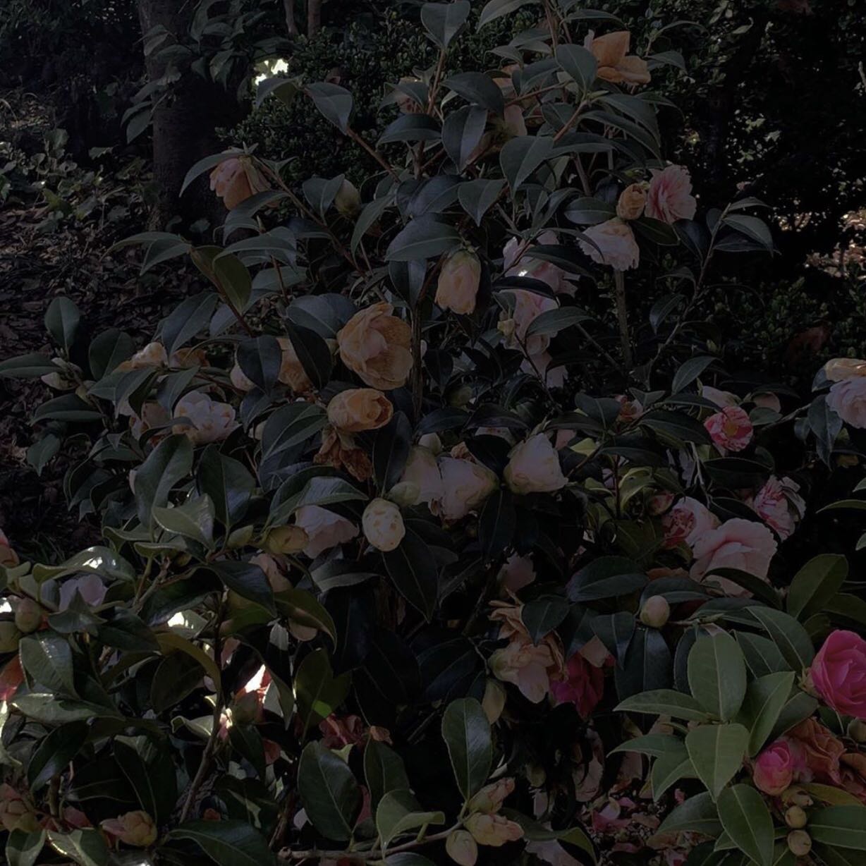 微信简洁个性小清新朋友圈配图