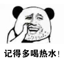今日份的微信爆笑聊天表情包合集下载