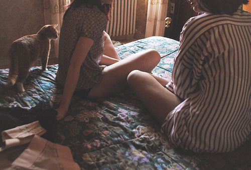 可爱宠物喵星人系列微信图片合集下载