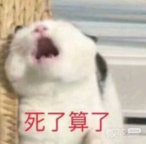 死了算了微信恶搞傻屌斗图表情包