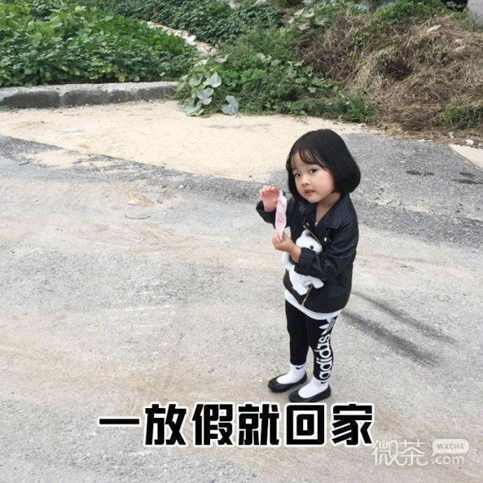 单身狗的特征系列微信恶搞带字表情包合集下载