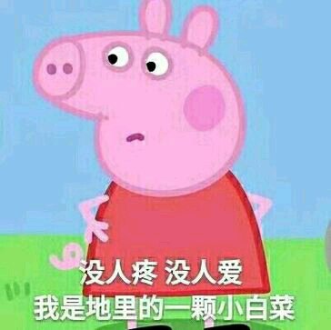 这里开心微信恶搞傻屌斗图表情包