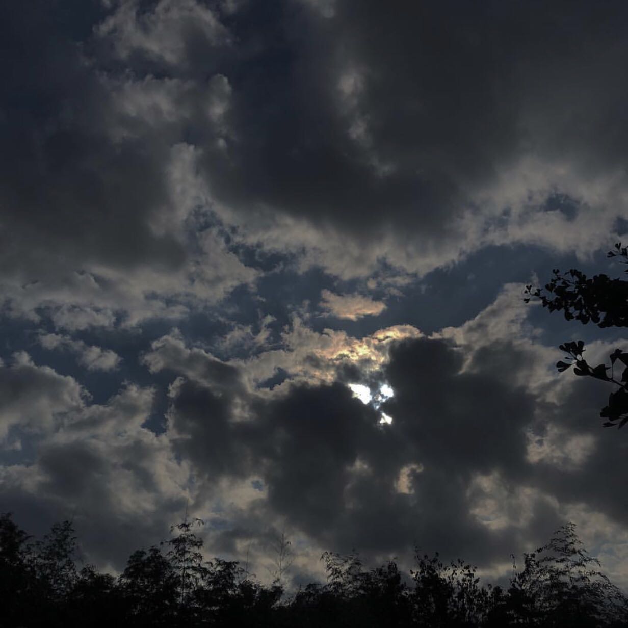 微信简洁个性小清新朋友圈配图