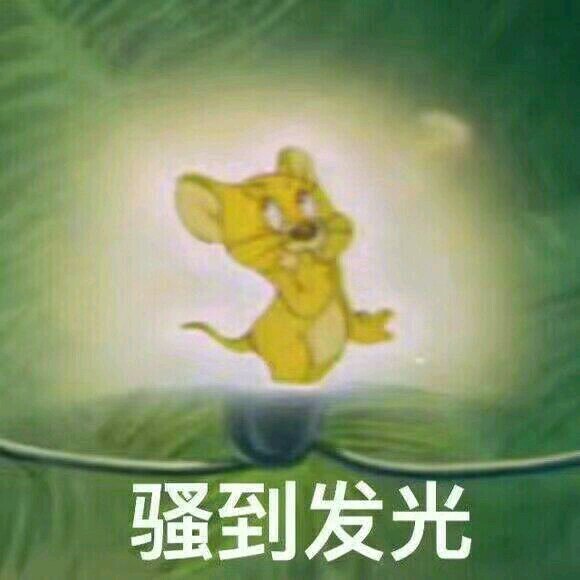 这里开心微信恶搞傻屌斗图表情包