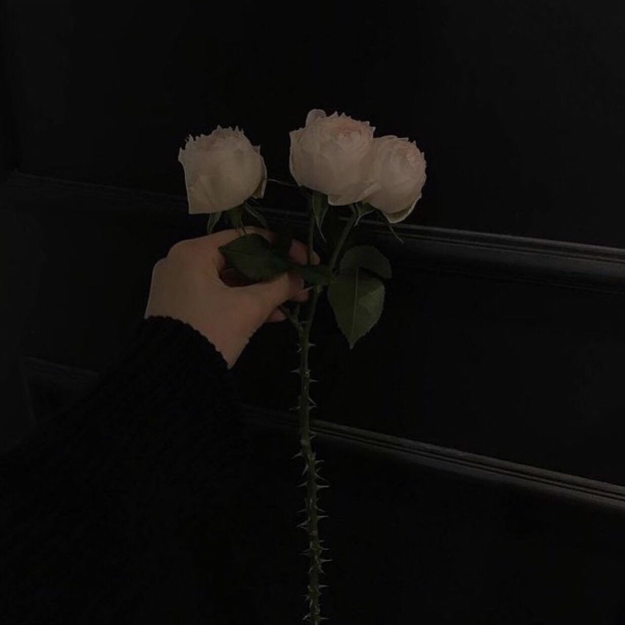 微信简洁个性小清新朋友圈配图