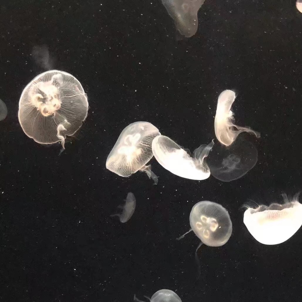 微信简洁个性小清新朋友圈配图