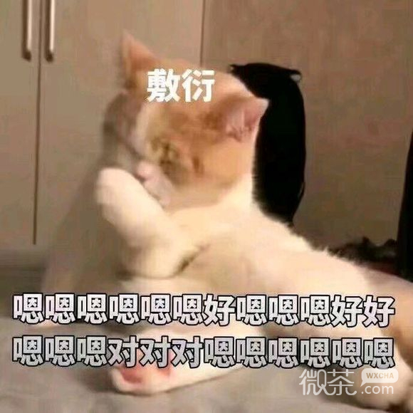 死了算了微信恶搞傻屌斗图表情包